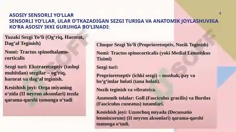bosh va orqa miya oʻtkazuv yo'llari 4