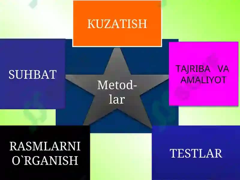 Ta'lim tizimi va ta’lim sohasidagi islohotlar 4