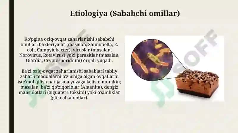 Oziq-ovqatdan zaharlanish: Ta'rif va tasnif 4