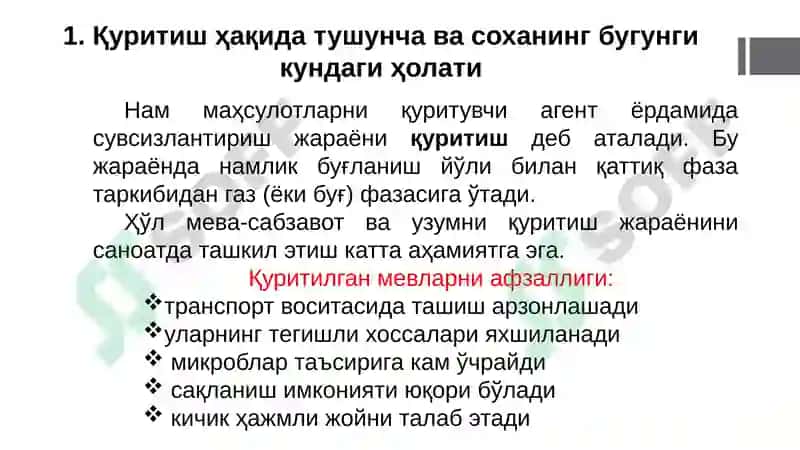 Мева-сабзавотлар ва узумни қуриш технологияси 4