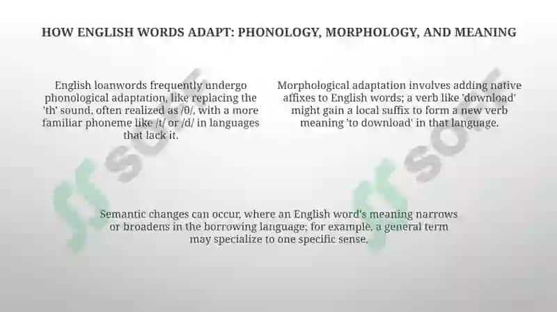 Loanwords and Borrowings: Influence of English on Native Language 4