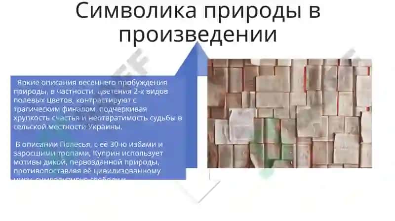 Олеся 4
