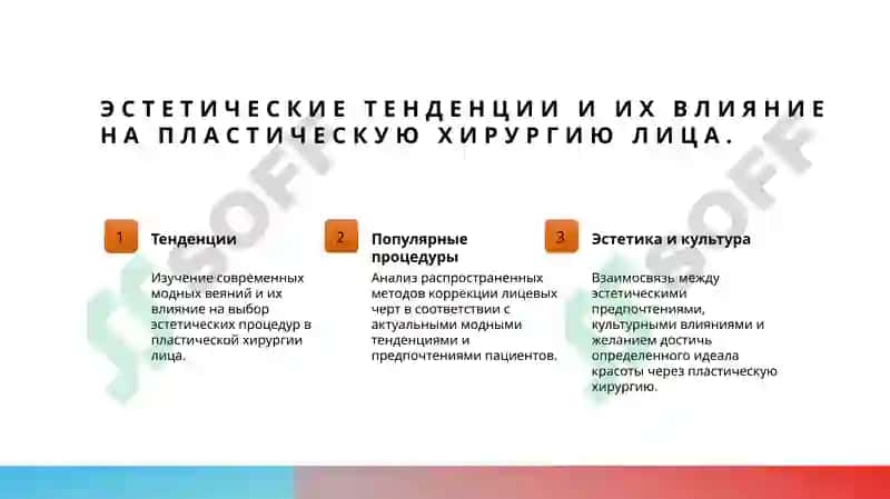 понимание пластической хирургии лица 4