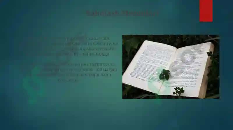 PIRLS matni talablari asosida matn yaratish va uning topshiriqlarini ishlab chiqish 4