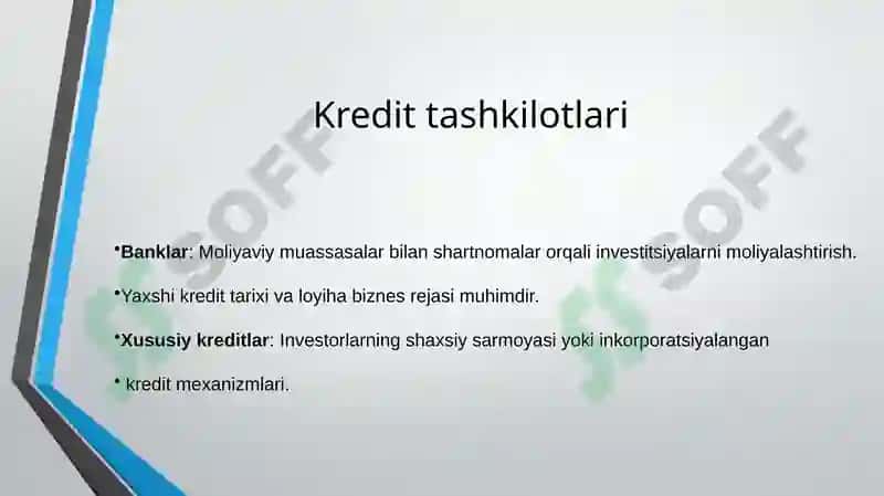 Investitsiya loyihalarini moliyalashtirishning xorij tajribasi 4