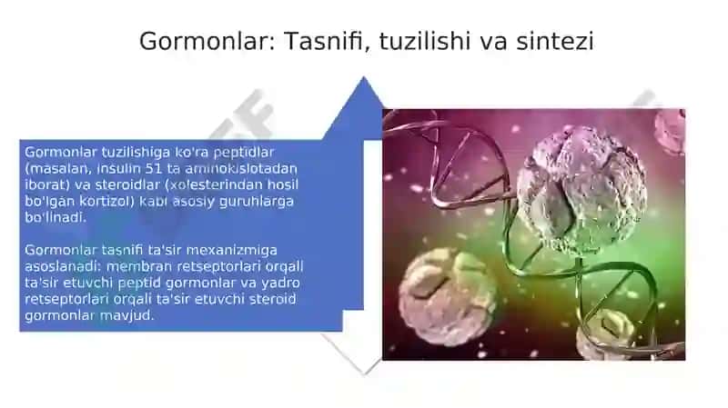 Fiziologik faol moddalar va endokrin tizimi biokimyosi 4