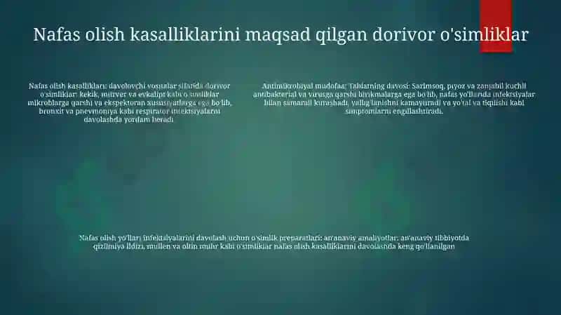Nafas Yo'Llari Kassalliklarida Va Mikroblarga Qarshi Qo'Llaniladigan Dorivor O'Simliklar 4