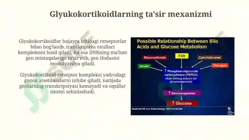 Katexolaminlar va Glyukokortikoidlarning Uglevodlar Almashinuvi 4