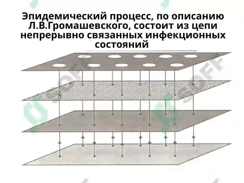 Основы общей эпидемиологии 4