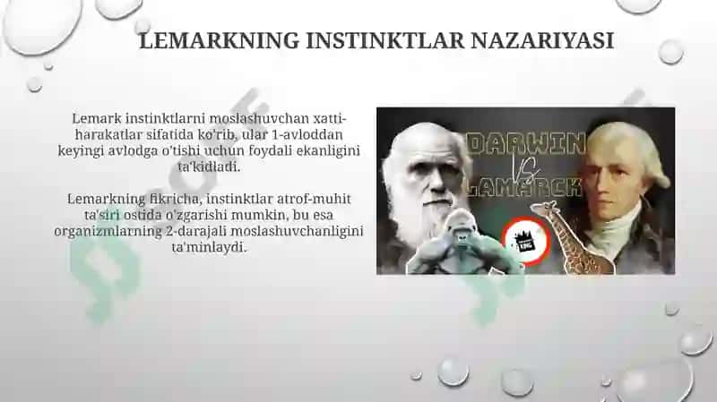 Instinktlarni o'rganishning zamonaviy usullari va kelajakdagi yo'nalishlar 4