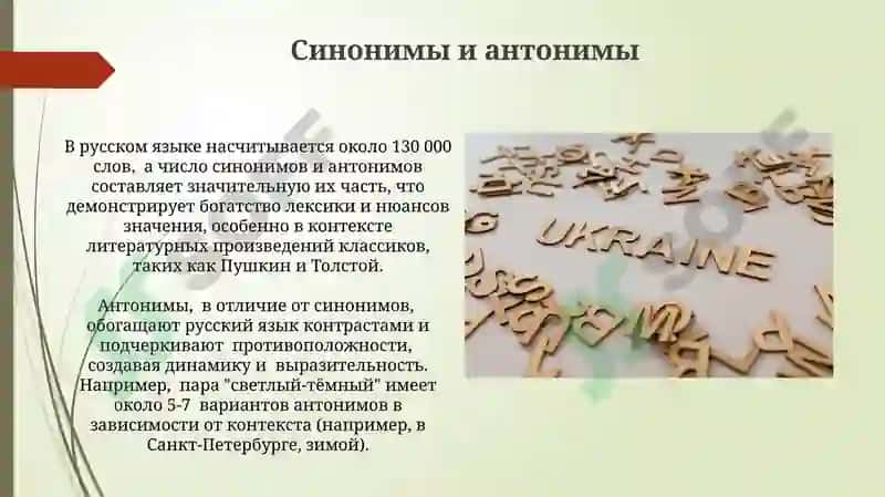 Лексическое богатство русского языка 4