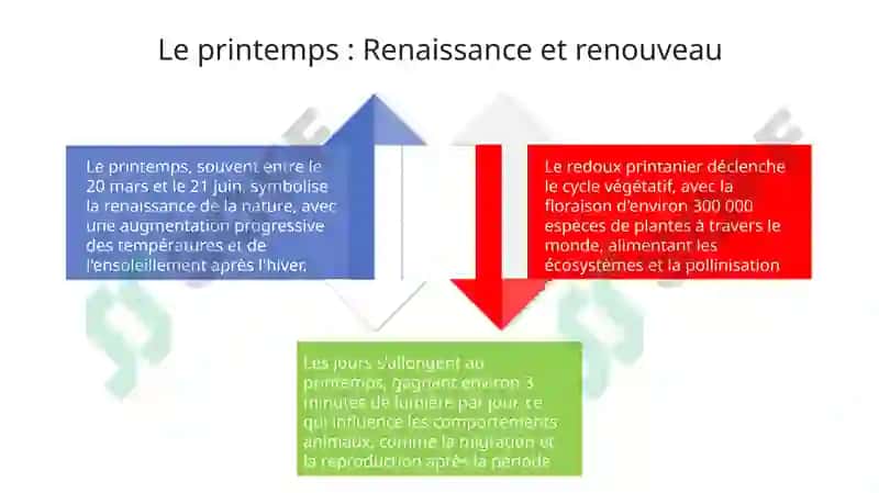 Les saisons de lʼannée 4