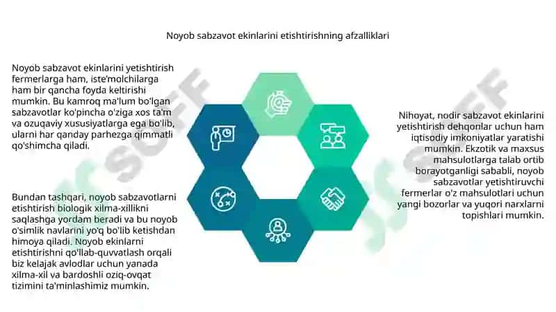 Noyob sabzavot ekinlari tanishtirish 4