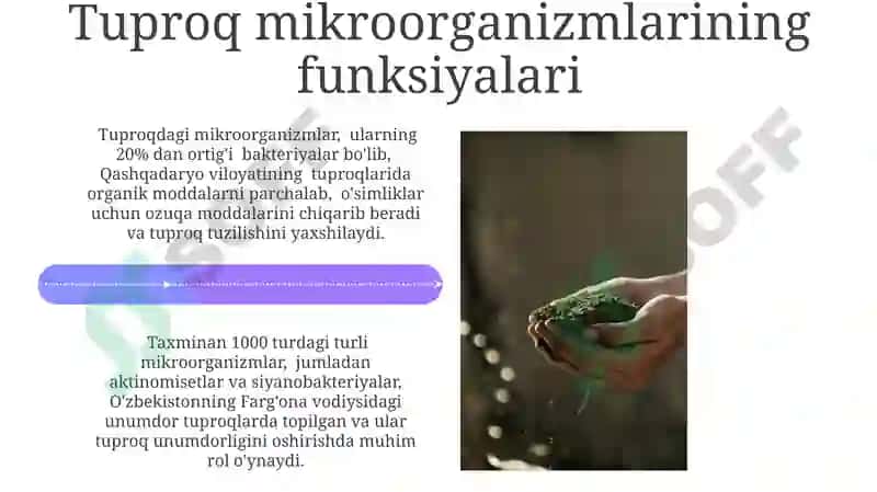Tuproq mikroflorasini o'rganish 4
