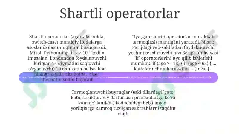 Tarmoqlanish buyruqlariga misollar 4