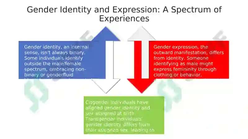 Understanding Gender: Definitions and Concepts 4