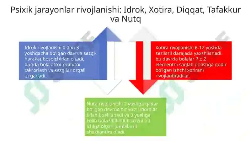 Inson psixikasining ontogenezda rivojlanishi 4