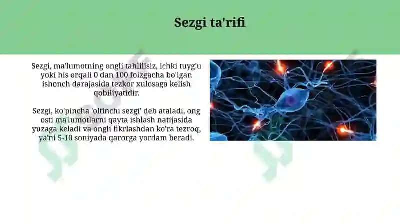 Sezgi va idrok: farqi, oʻzaro bogʻliqligi 4