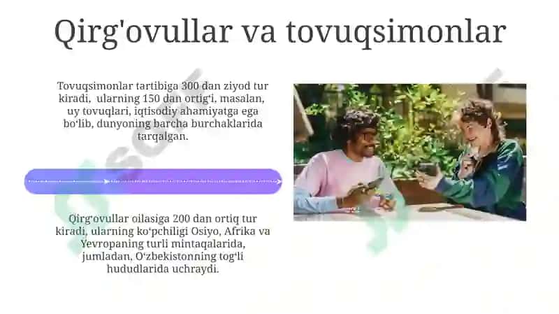 Qushlar turlari va ular haqida malumotlar 4