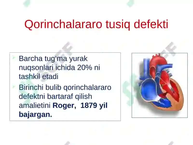 YURAK NUQSONLARI ETIOLOGIYASI PATOGENEZI 4