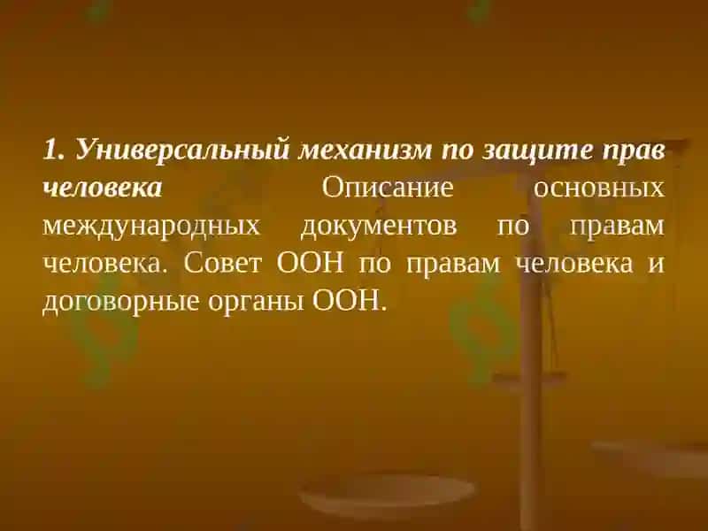 Международные стандарты права человека и механизмы защиты 4
