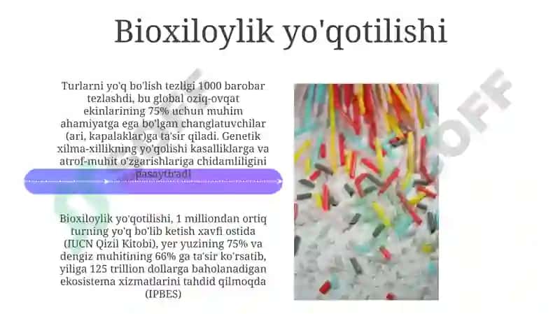 Ifloslanish manbalari 4