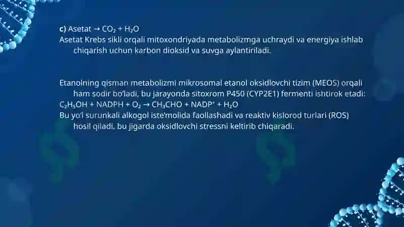 Etil spirti. Alkogolizmning organizmga taʼsiri 4