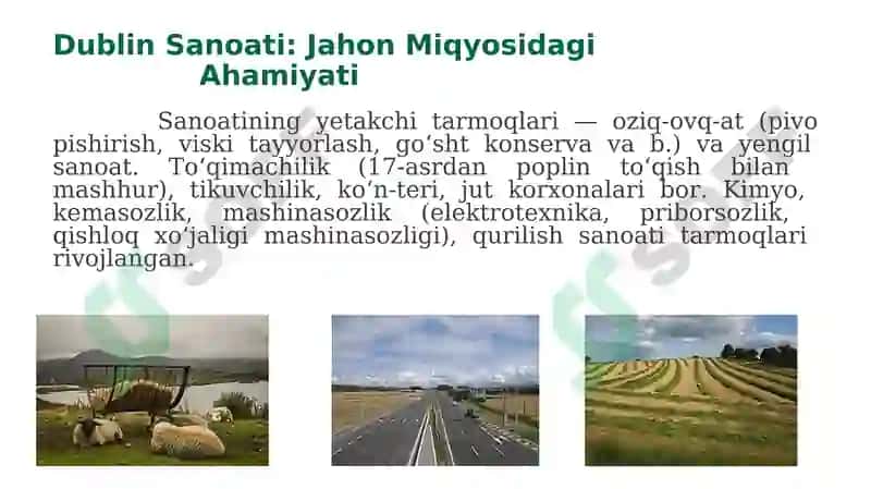 Dublin-Irlandiya: Tarixi, Aholisi, Iqtisodiyoti va Turmush Tarzi 4