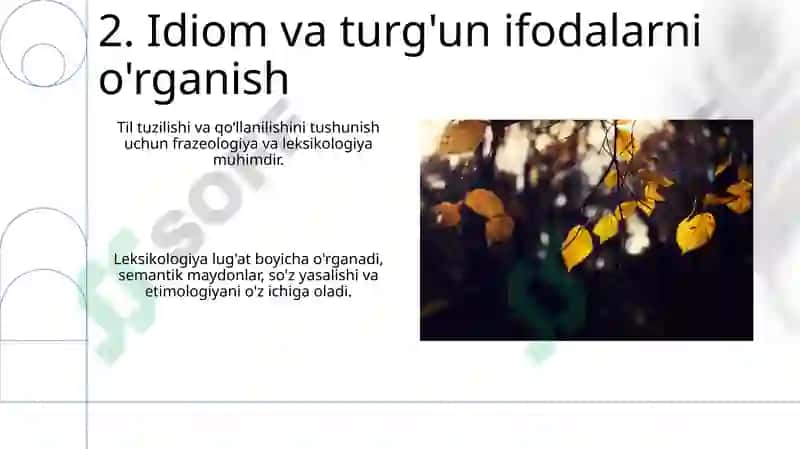 Лексикология және оның салалары 4
