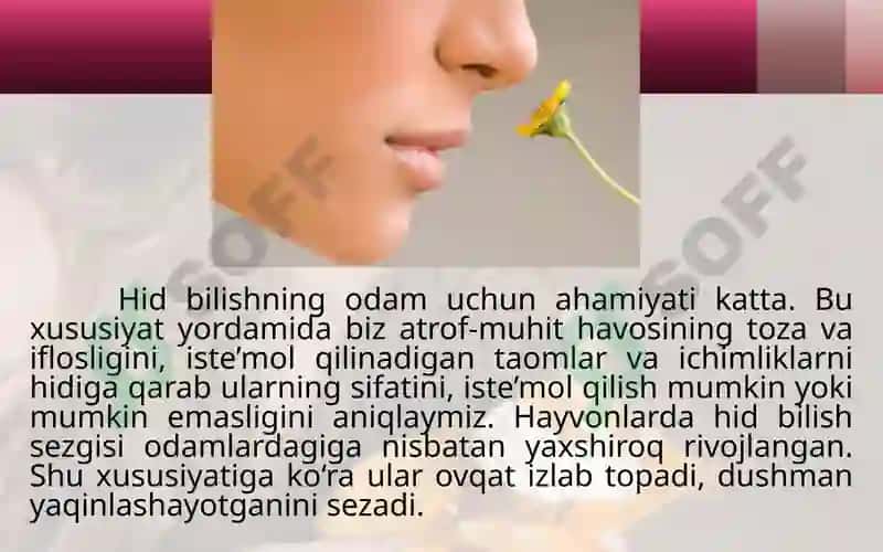 Hidvata’mbilishorganlari 4
