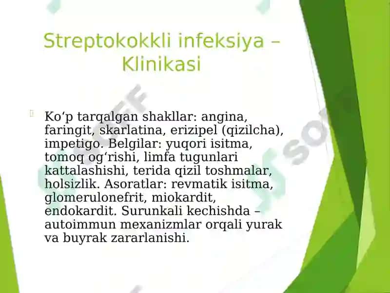 Streptokokkli va Pnevmokokkli infeksiyalar. Etiologiya, epidemiologiya, klinikasi, diagnostika va davolash 4