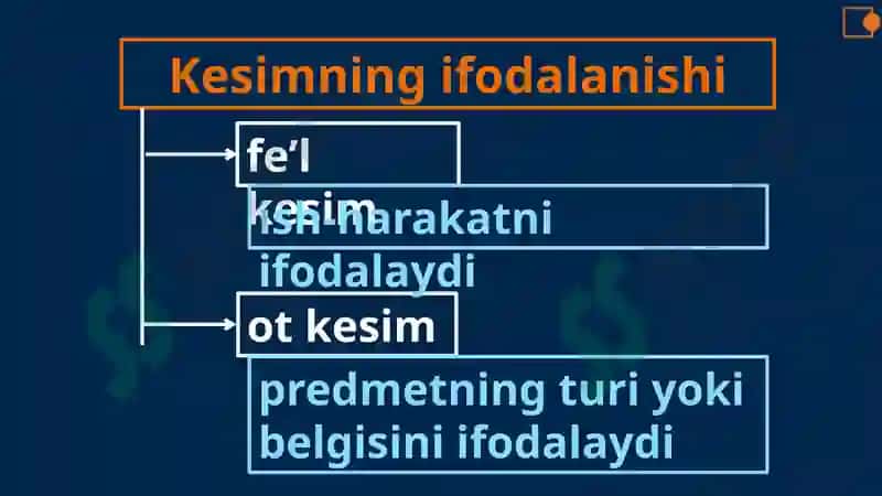Kesim 4
