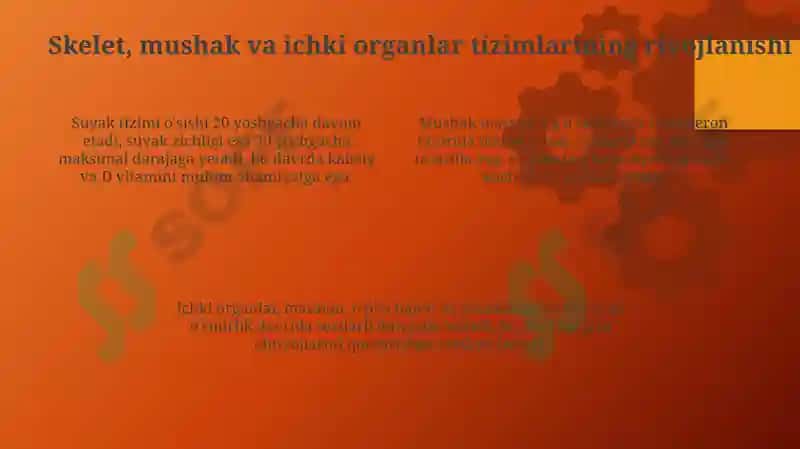 Yosh davrlarining morfologik va fiziologik xususiyatlari 4