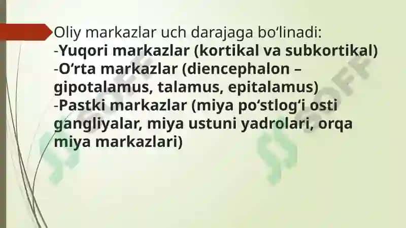 Vegetativ o‘liy markazlar va ularning funksional ahamiyati 4
