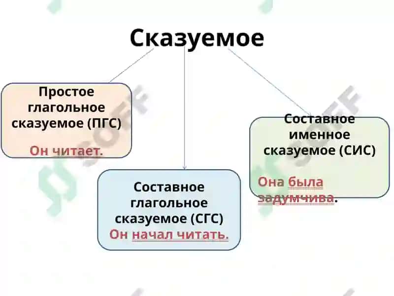Члены предложения 4