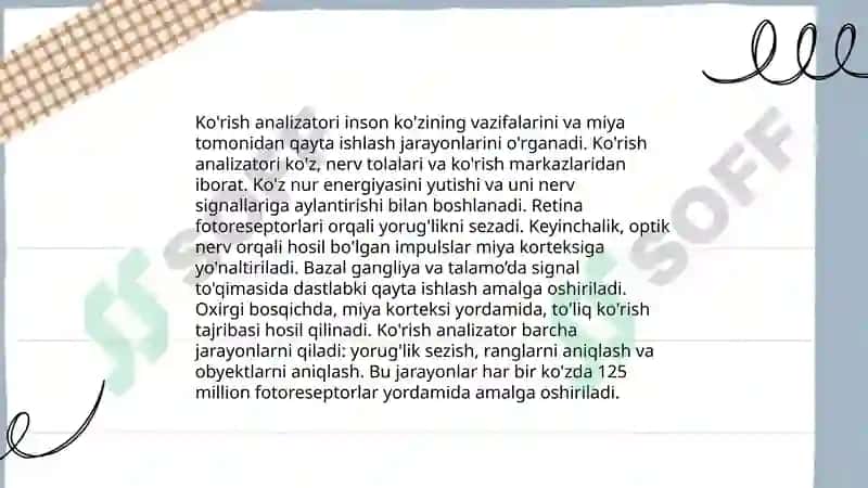 Ko'rish analizatori anatomiya va fiziologiyasi 4