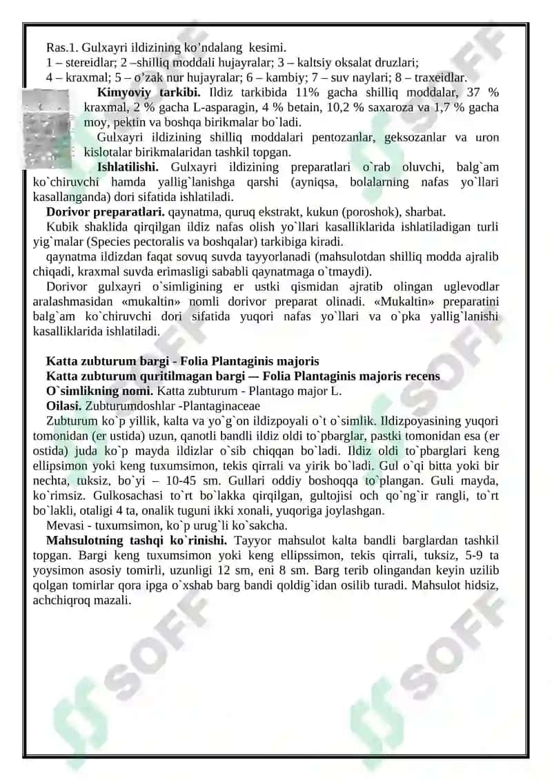 Polisaxaridlar bo’lgan dorivor o`simliklar va ularning mahsulotlari 4