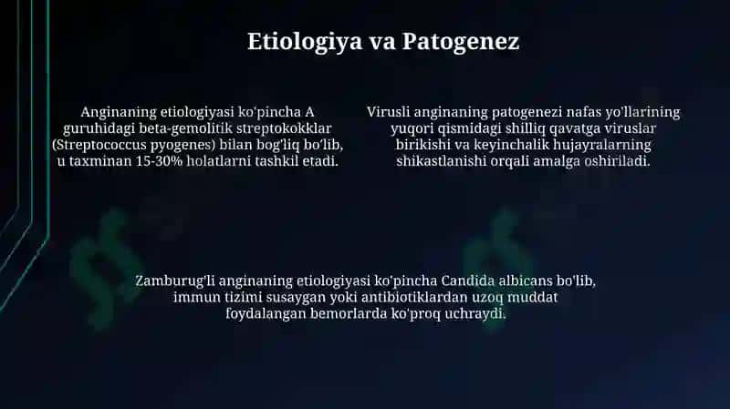 Har xiletilogiyalianginalar 4