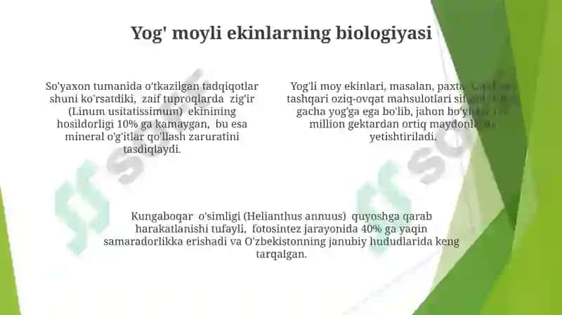 Efirmoyli ekinlar biologiyasi yetishtirish texnologiyasi 4