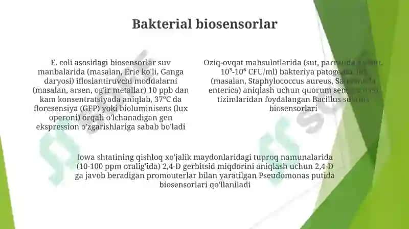 Bakteriyalardan biotexnologiyada foydalanish yunalishlari 4