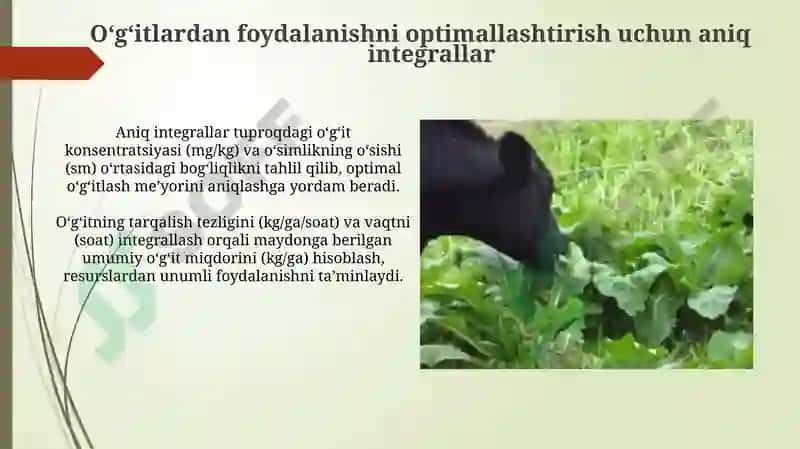 Aniq integralning qishloq xoʻjaligi va chorvachilik masalalariga tatbiq etilishi 4