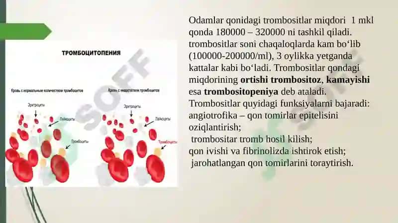 Trombotsitlar 4