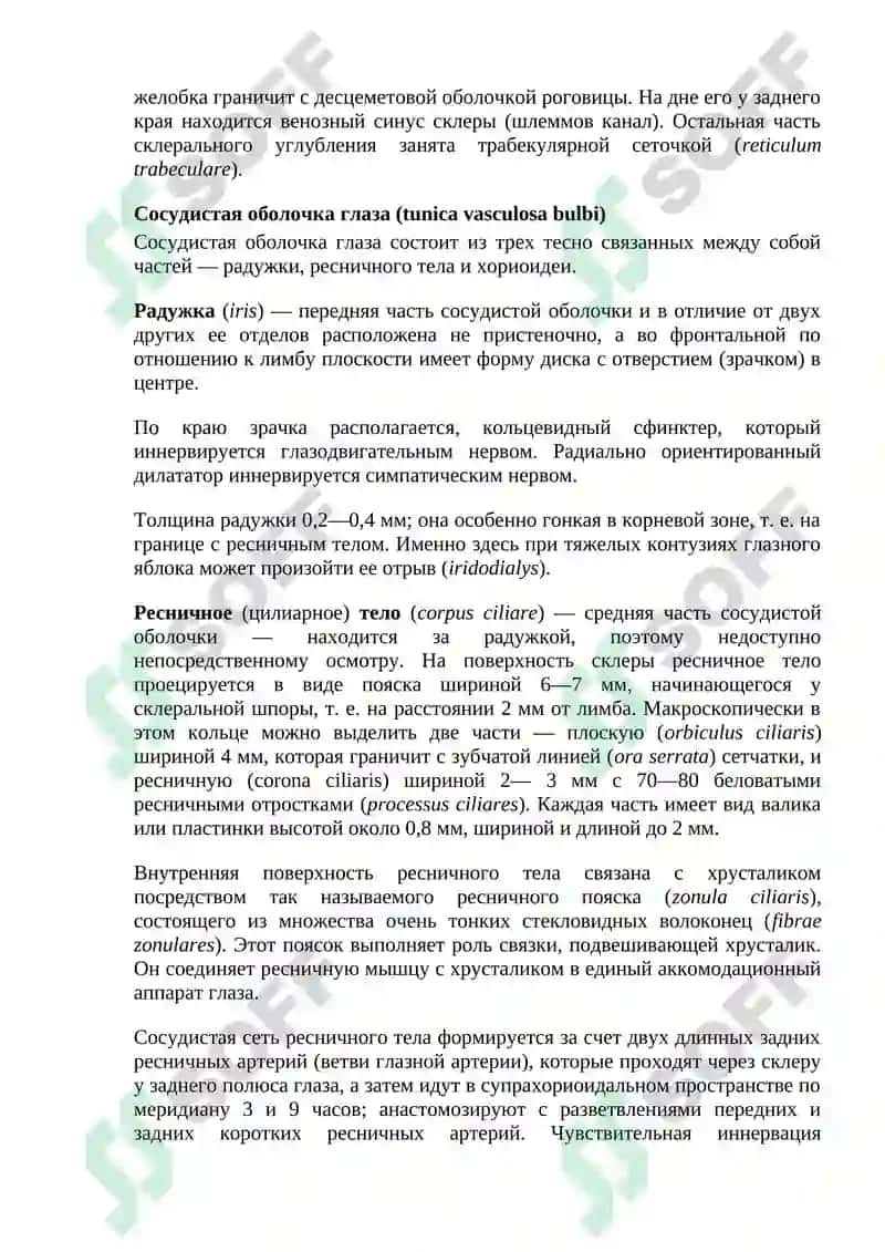 НОРМАЛЬНАЯ АНАТОМИЯ ОРГАНА ЗРЕНИЯ ЧЕЛОВЕКА 4