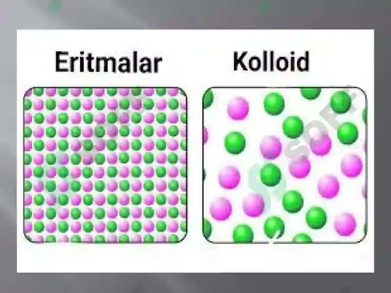 Kolloid sistemalarni dializ yo‘li bilan tozalash. Gemodializni o‘tkazishda kimyoning ahamiyati 4