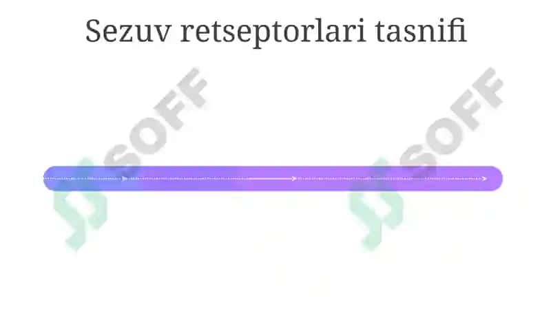 Hid bilish analizatorlar fiziologiyasi 4