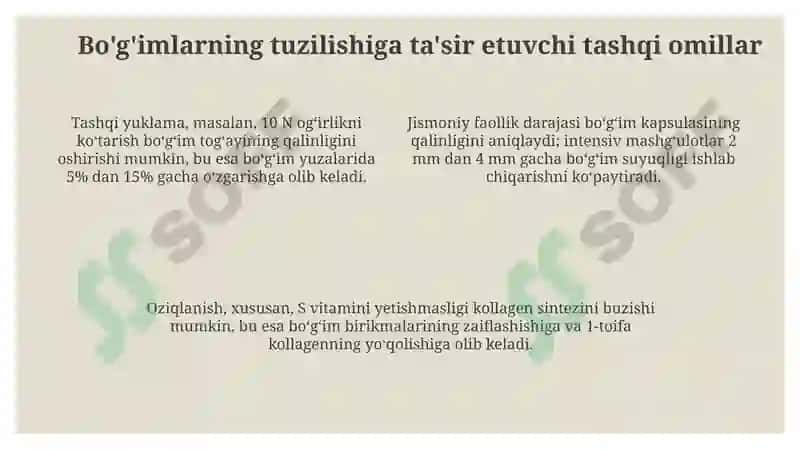 Boʻgʻimlartuzilishigatashqivaichkifaktorlarnitasiri 4