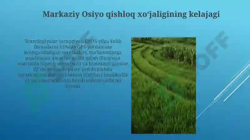 Markaziy Osiyo davlatlarining qishloq xoʻjaligi 4