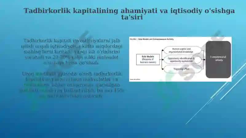 Tadbirkorlik faoliyati va kapitali 4