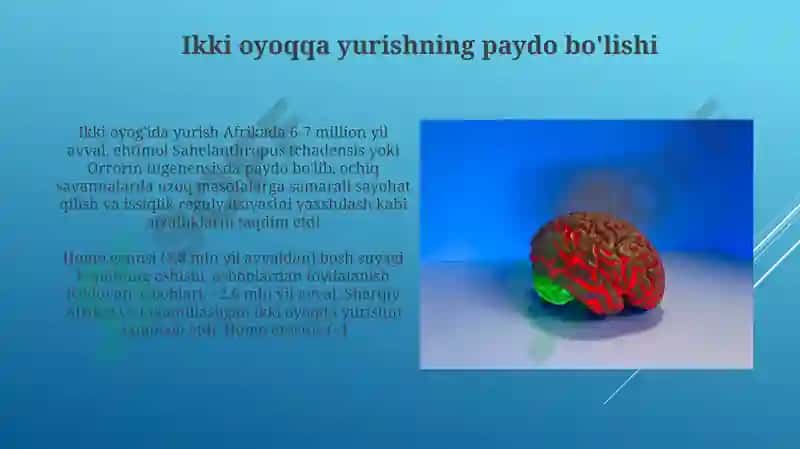 Zamonaviy Insonlar va Undan Keyin 4