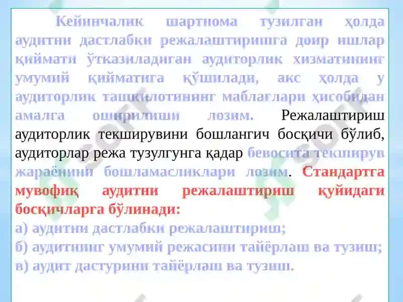 Auditorlik tekshiruvini rejalashtirish 4